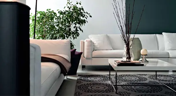 Bhartiya City Nikoo Homes Overview